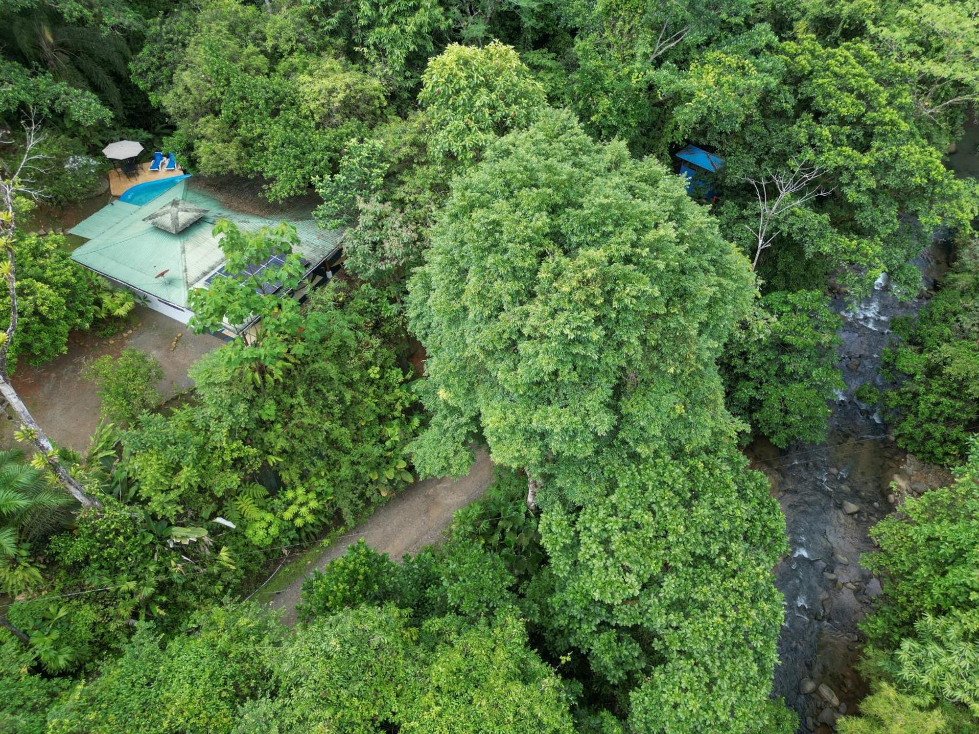 Casa Cedro - Portasol Vacation Rentals Matapalo  Экстерьер фото
